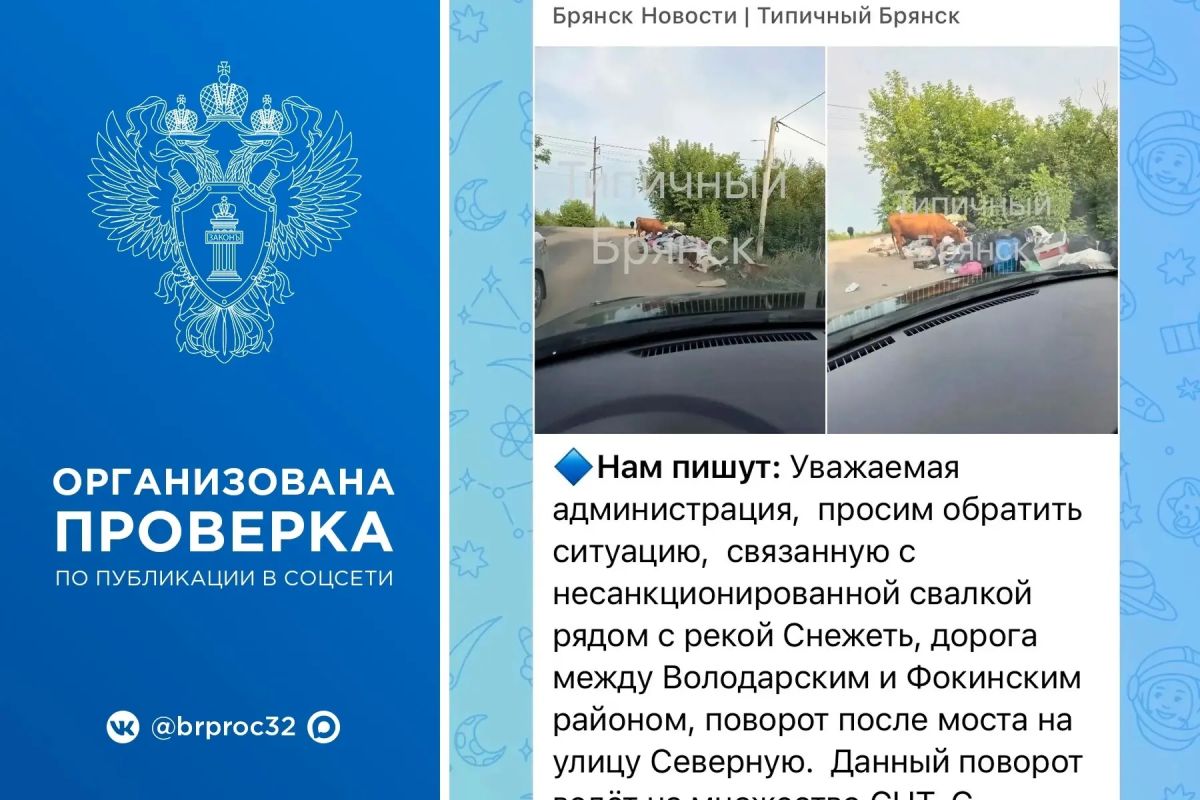 Прокуратура Фокинского района г. Брянска организовала проверку по публикации в социальной сети об образовании несанкционированной свалки в районе пересечения улиц Снежетьский Вал и Северная в г. Брянске