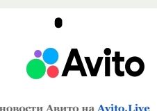 Авито Путешествия и S7: В Брянской области спрос на аренду pet-friendly квартир вырос на 77 процентов