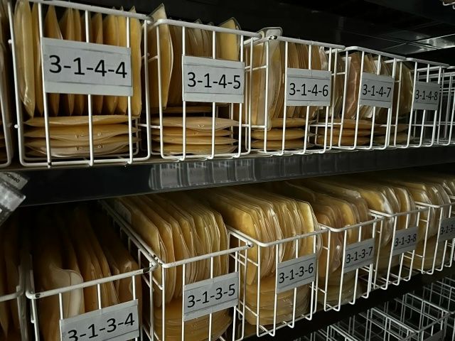 За минувшие семь дней в Брянской области более шестисот жителей приняли участие в акции по сдаче донорской крови