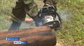������ ������� ���� ������ ������ �������� �������� �������