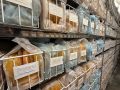 За семь дней 660 брянцев посетили областную станцию переливания крови
