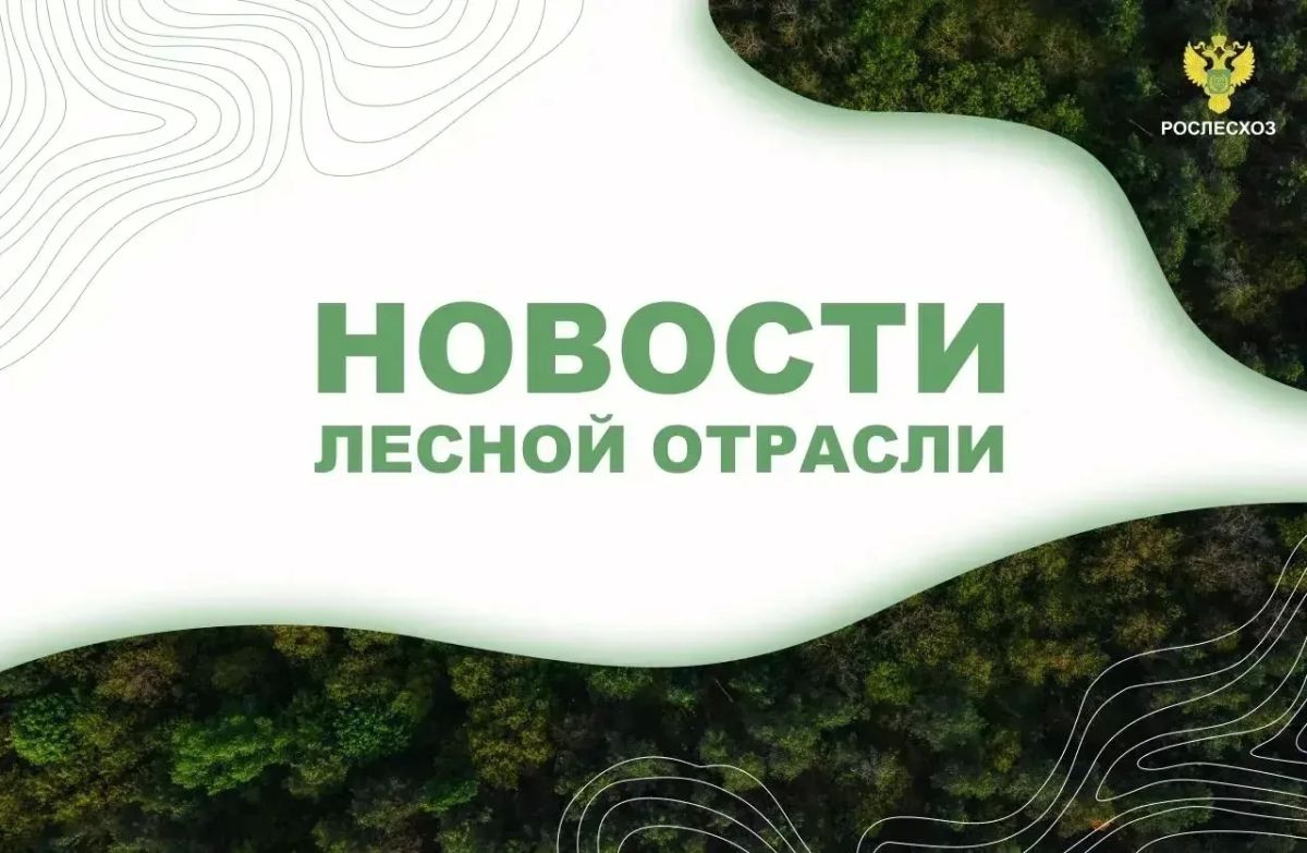 AK&M: Рослесхоз: в регионах продолжается усиление группировки для тушения лесных пожаров