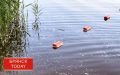Трагедия в Скрябино: водолазы нашли тело мужчины в карьере