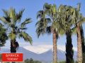 Как брянцам не набрать лишний вес в отпуске «всё включено»