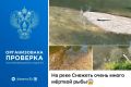 Брянская природоохранная прокуратура организовала проведение проверки после публикации в социальных сетях информации о гибели рыбы в реке Снежеть