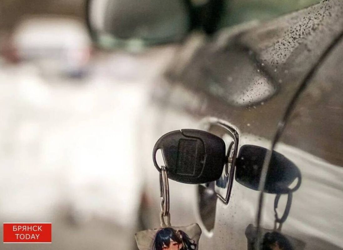 У жителя Клинцов конфисковали фиктивно купленный у бабушки автомобиль