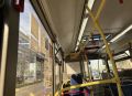 Пассажирооборот брянских автобусов упал за полгода
