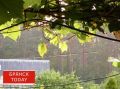 Брянцам спрогнозировали климатическое путешествие из лета в осень
