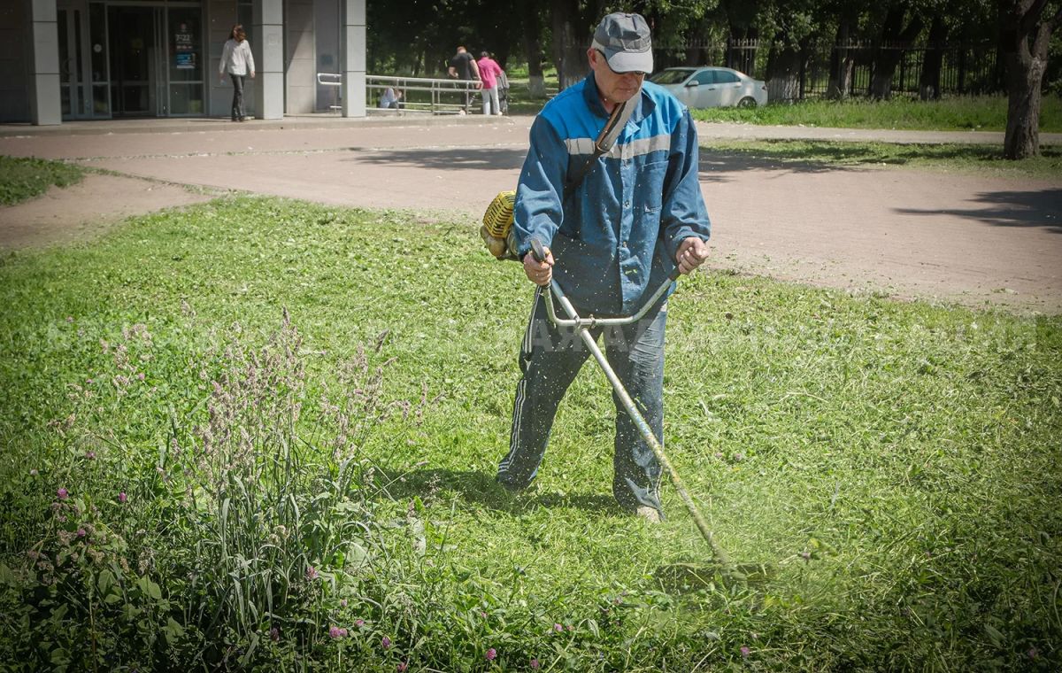 Дорожники ухаживают за зелёными зонами