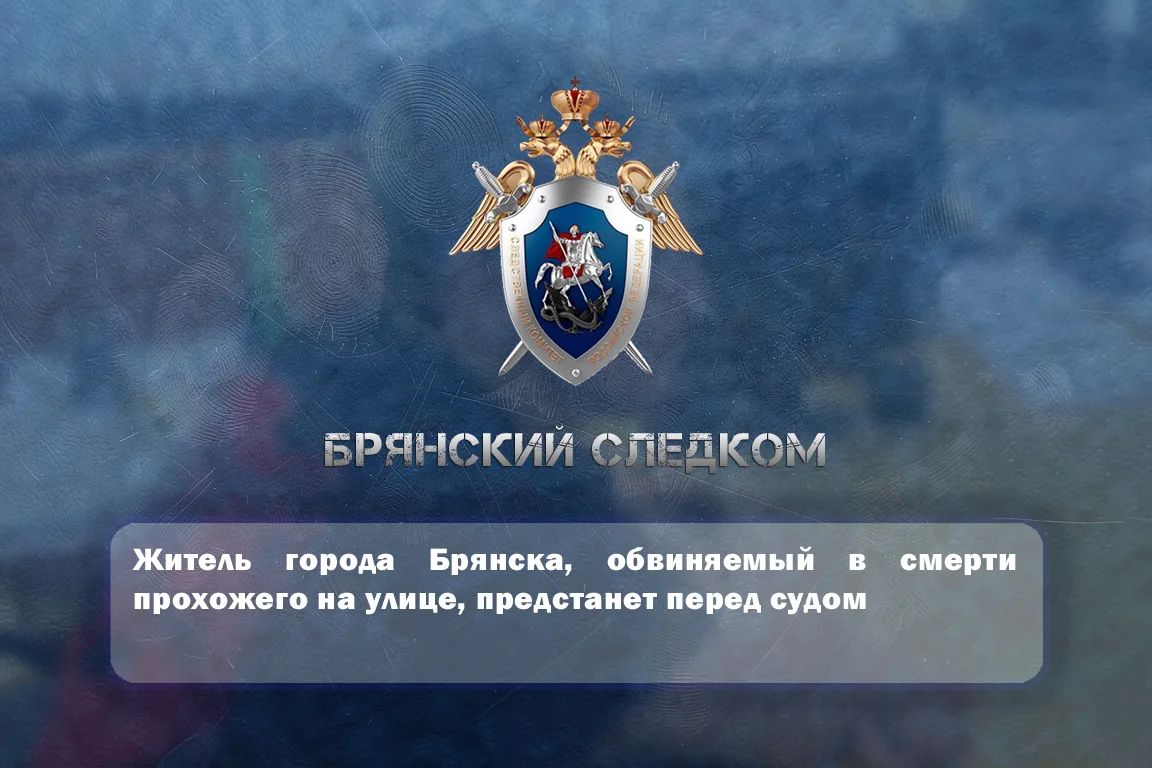 Житель города Брянска, обвиняемый в смерти прохожего на улице, предстанет перед судом