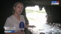 Пострадавшие при ракетном ударе ВСУ жители Брянска получат компенсацию