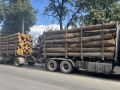 «Брянская мясная компания» отсудила у лесозаготовителей 128 тыс за уничтоженную рожь