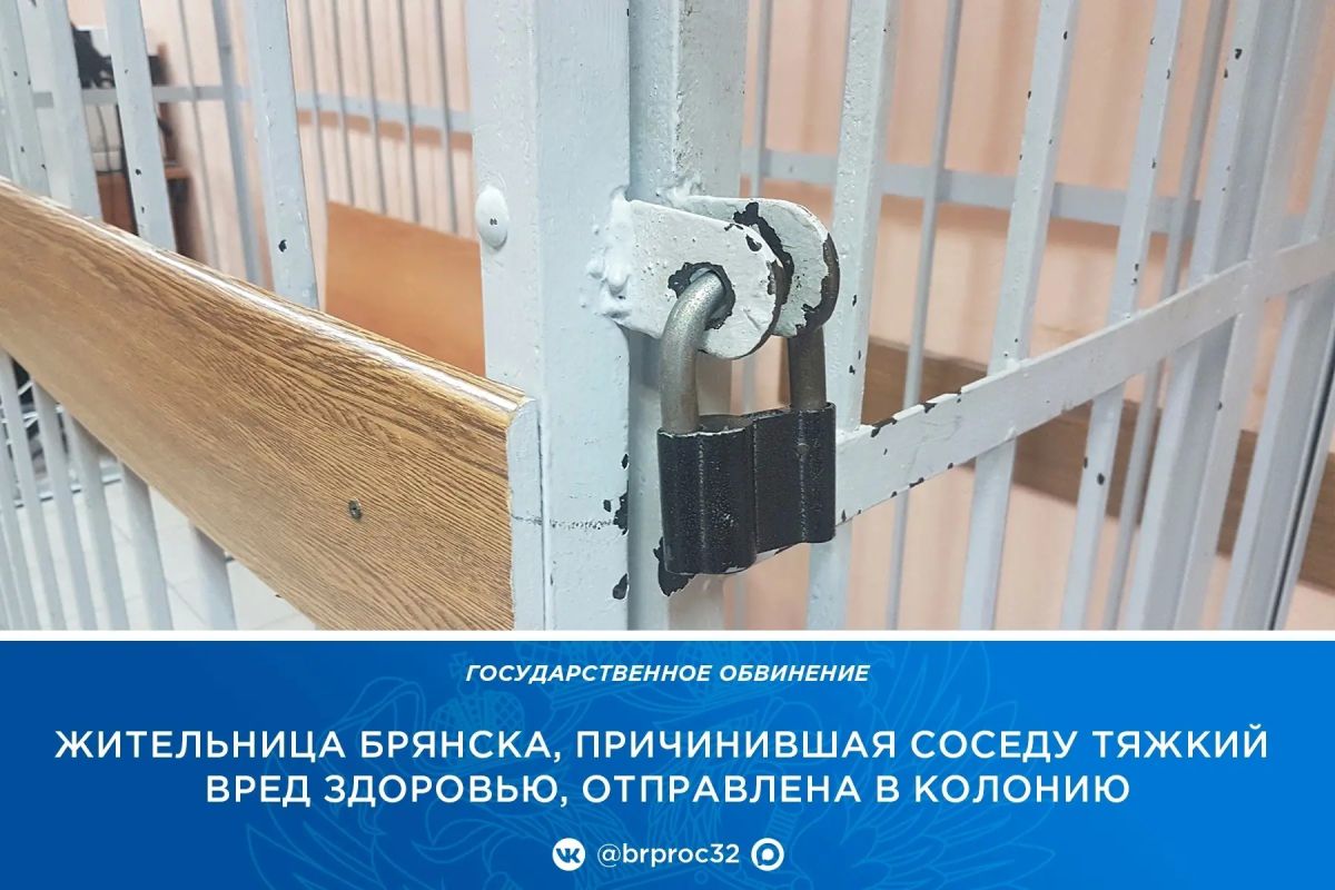 Прокуратура Фокинского района г. Брянска поддержала государственное обвинение по уголовному делу в отношении ранее судимой 36-летней местной жительницы
