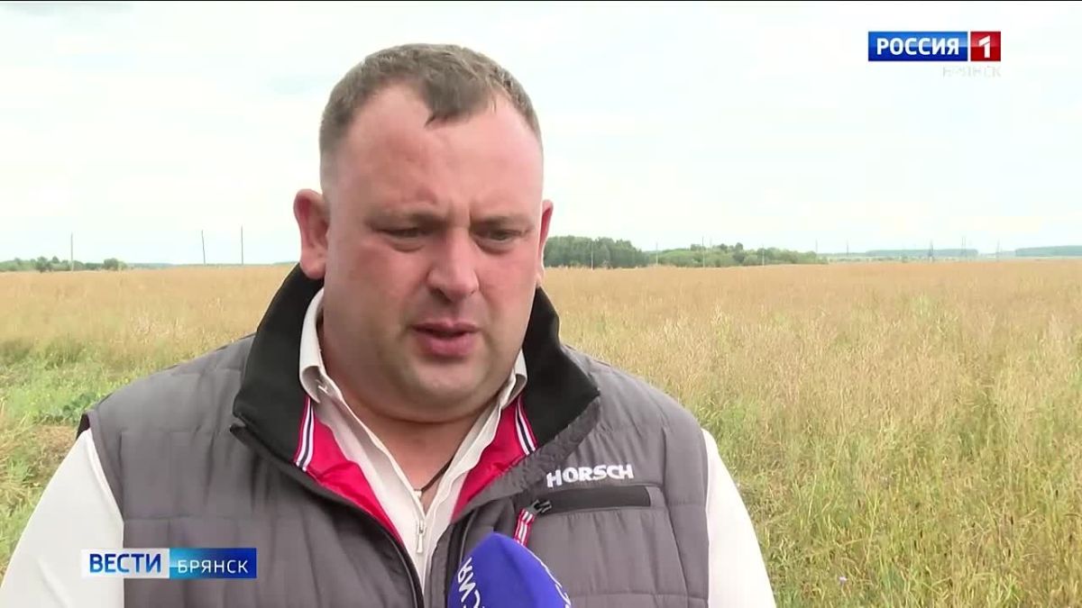 Более 10 семей сельхозработников переехали из Погарского района в Почепский
