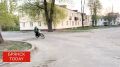 �������� ��������� ��������� � ������� � ���������: ������ ����������