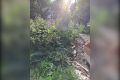 ������ �������� ������ ���� ������������� ����� �� ����� ���������
