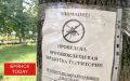 Брянцев предупредили: осенние клещи опаснее майских