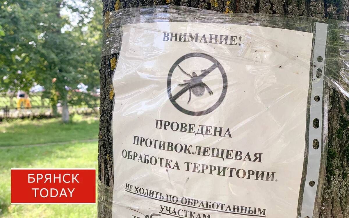 Брянцев предупредили: осенние клещи опаснее майских