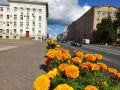 Брянская мэрия рассказала о подготовке дорог и зелёных зон к 17 сентября