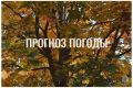 По данным ЦГМС, 4 сентября в регионе прогнозируется облачная погода с прояснениями