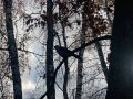 В Брянской области 7 сентября ожидается туман