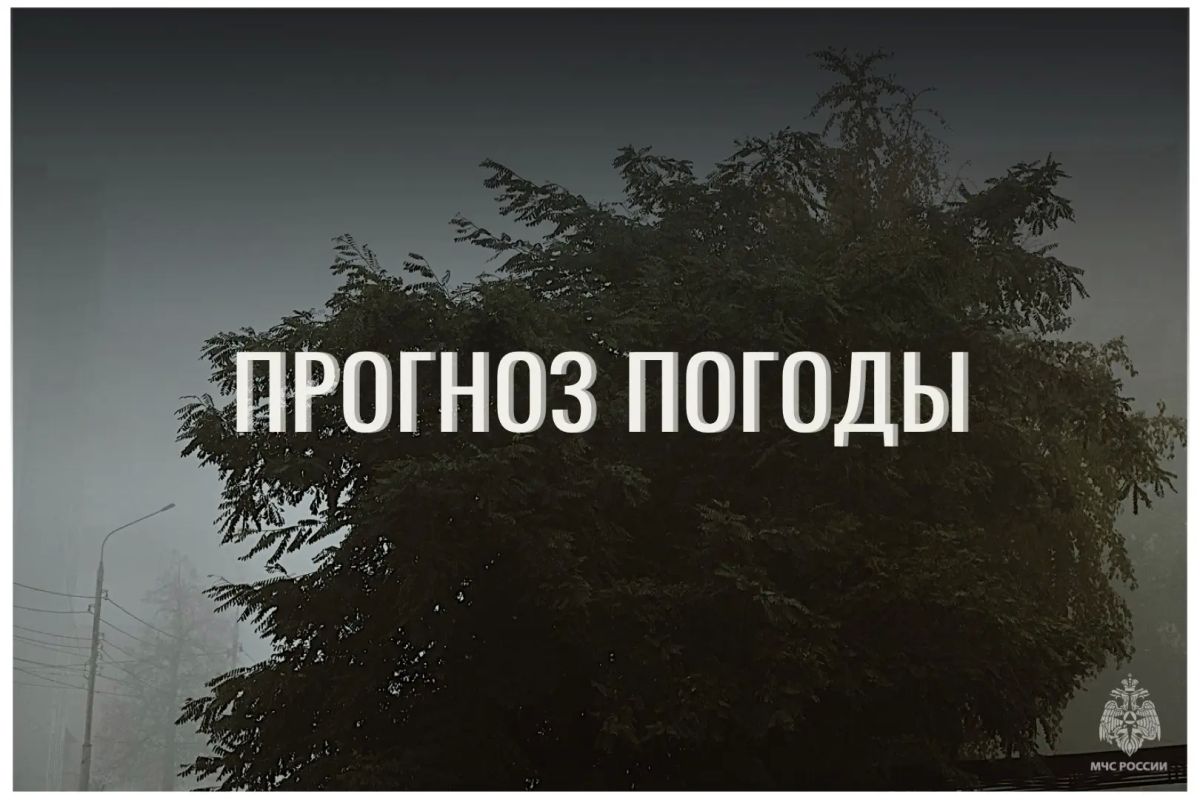 По данным ЦГМС, 7 сентября в регионе прогнозируется переменная облачность