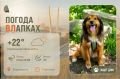 #ПогодаВЛапках. Переменная облачность