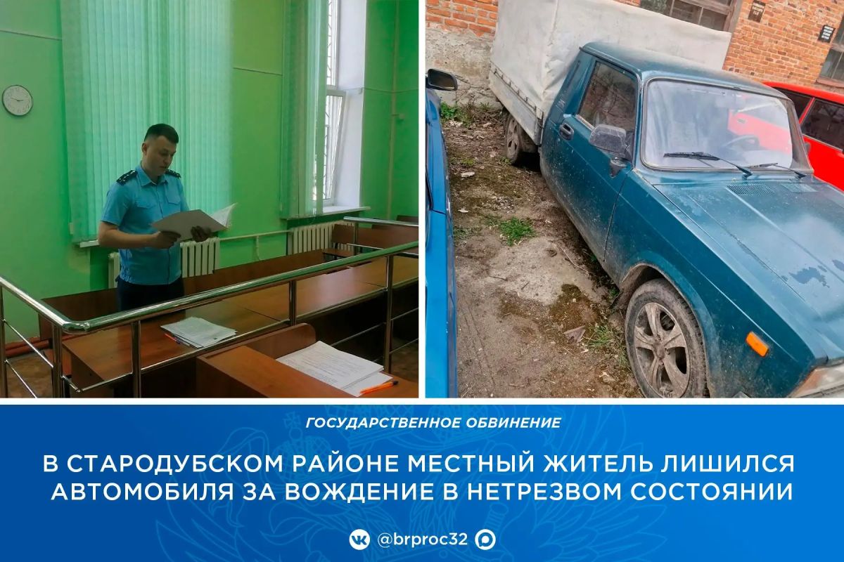 Прокуратура Стародубского района поддержала государственное обвинение по уголовному делу в отношении 63-летнего местного жителя