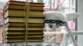 Орловские ученые научились управлять кровоснабжением мозга