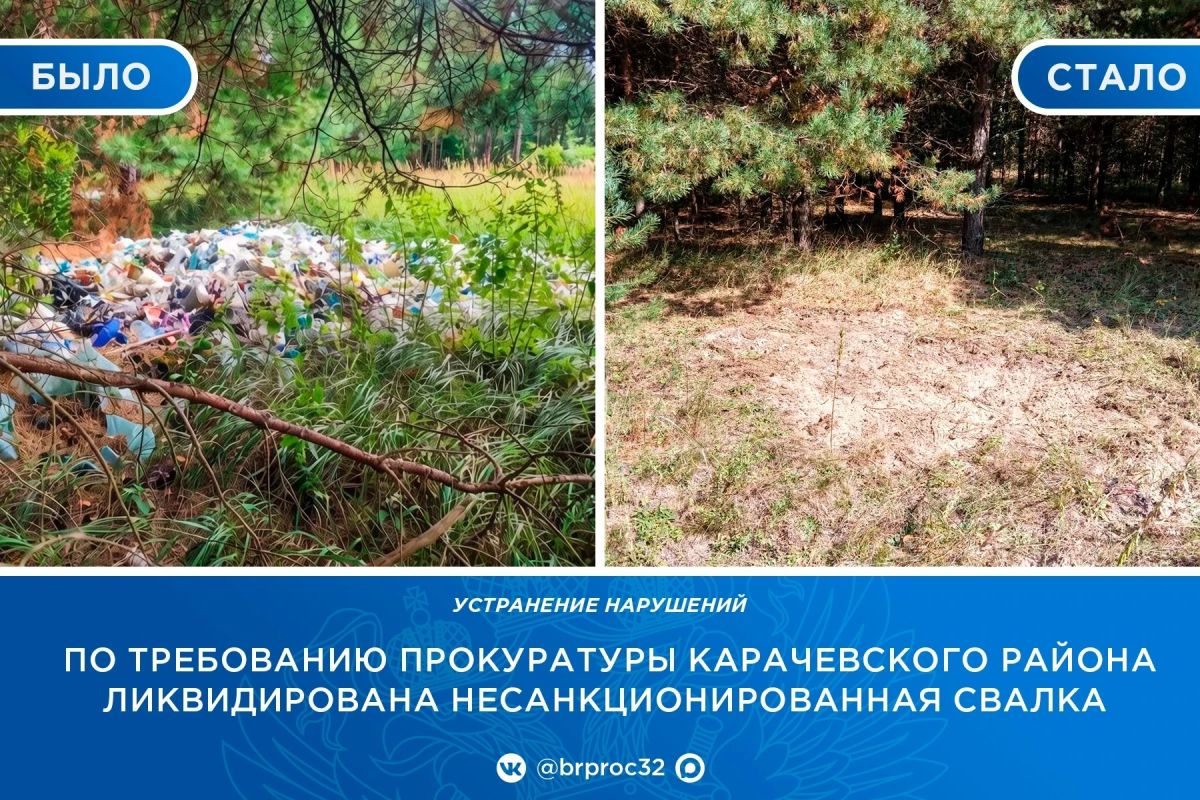 Прокуратура Карачевского района провела проверку по обращению местного жителя о нарушении законодательства об охране окружающей среды