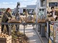 Минсельхоз ожидает более заметного снижения цен на овощи и картофель в России с увеличением поставок отечественной продукции на рынок