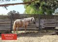 �� �������� �������� ������� �������� �� ���������� � ���������
