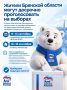 Жители Брянской области могут досрочно проголосовать на выборах