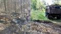 В Дубровском районе по требованию прокуратуры ликвидирована свалка