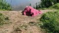 В Комаричском районе из озера достали тело мужчины