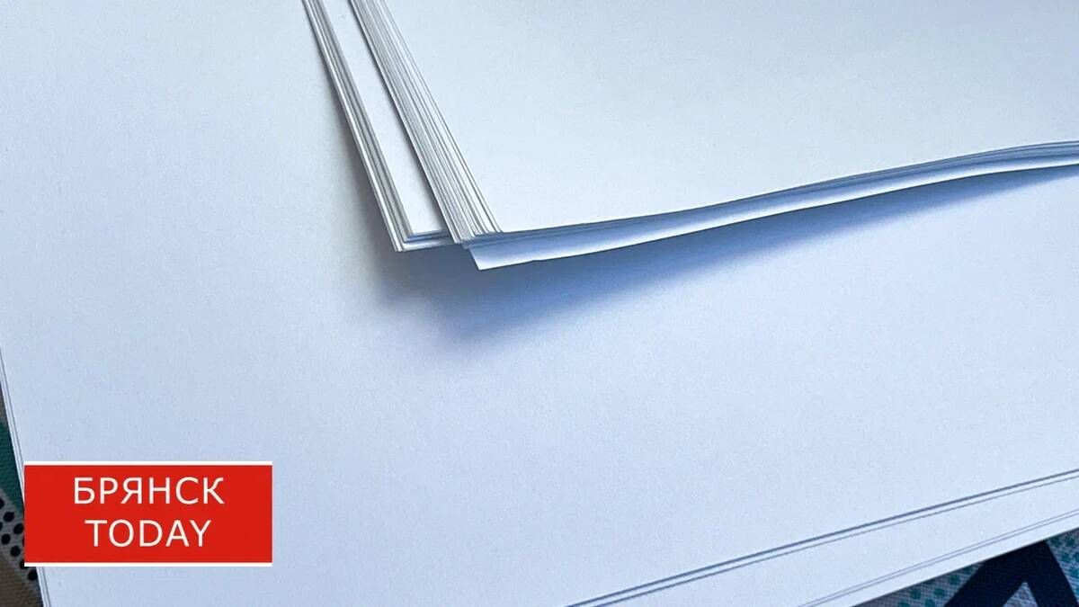 Брянцы подали более 366 тысяч заявлений в СФР с начала года