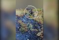 � ������� ���� �������� � ������, ���������� � ���