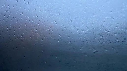 Брянскую область 19 сентября накроют кратковременные дожди