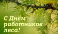 Уважаемые работники лесного хозяйства и ветераны отрасли!