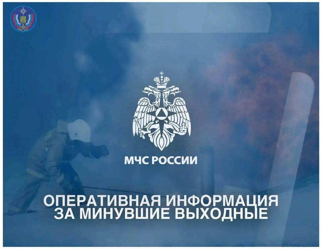 В Брянской области за минувшие выходные: