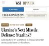 ������� ��������: ������� � �������� ������� ��� ������ �� ������������ Starlink - The Wall Street Journal
