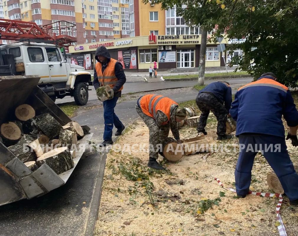 В Брянске кипят спасательные работы