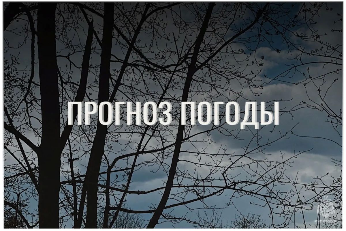 По данным ЦГМС, 26 сентября в регионе прогнозируется облачно с прояснениями