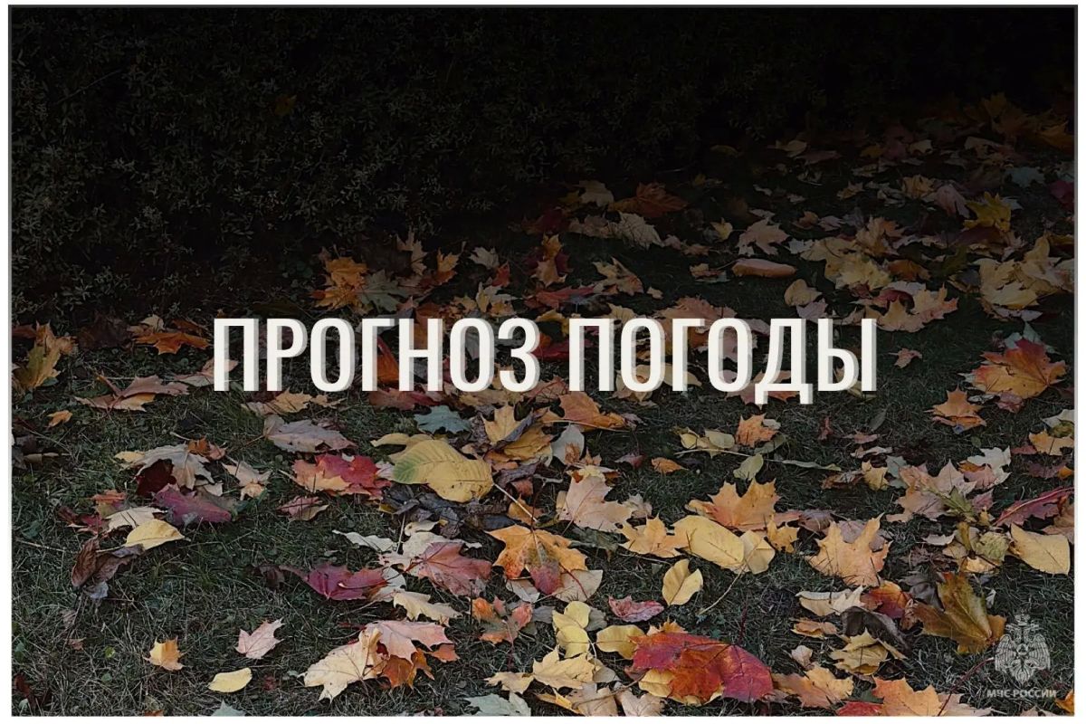 По данным ЦГМС, 27 сентября в регионе прогнозируется облачно с прояснениями