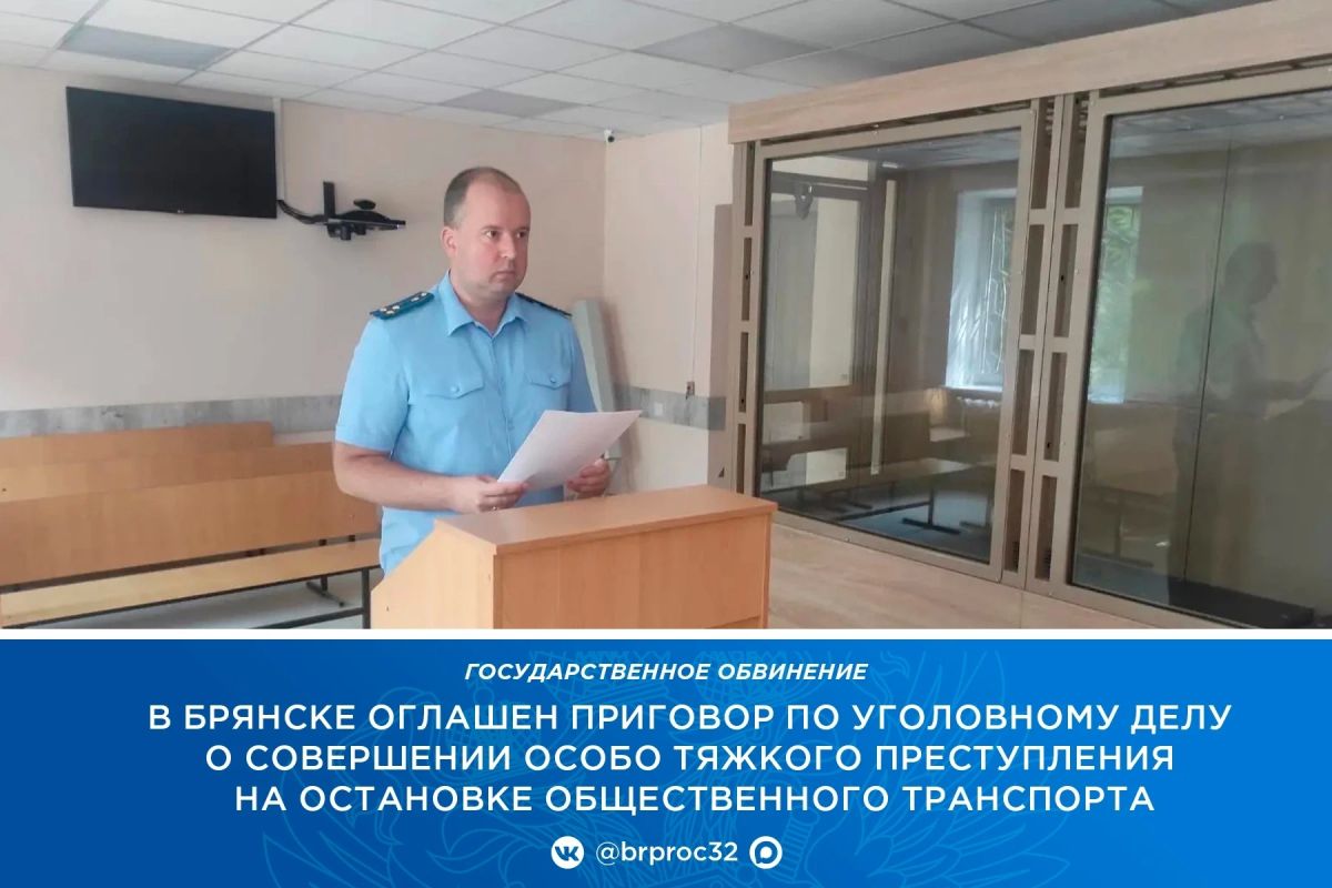 Прокурор Советского района г. Брянска поддержал государственное обвинение по уголовному делу в отношении 18-летнего местного жителя