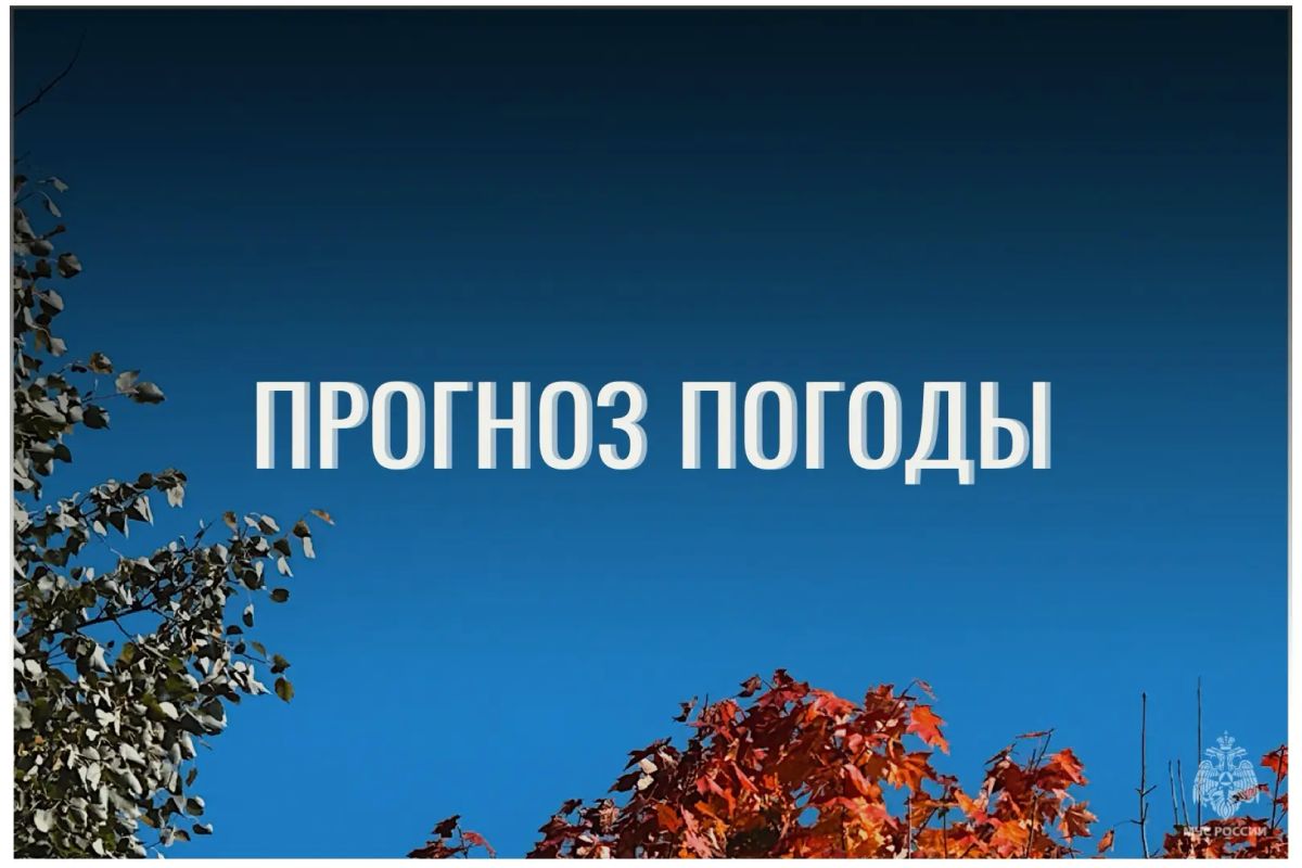 По данным ЦГМС, 3 октября в регионе прогнозируется облачно с прояснениями