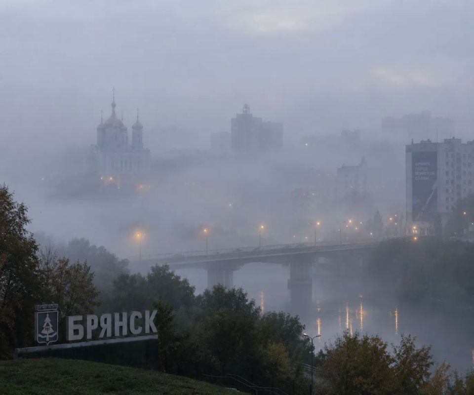 Ночью и утром в Брянской области ожидается туман