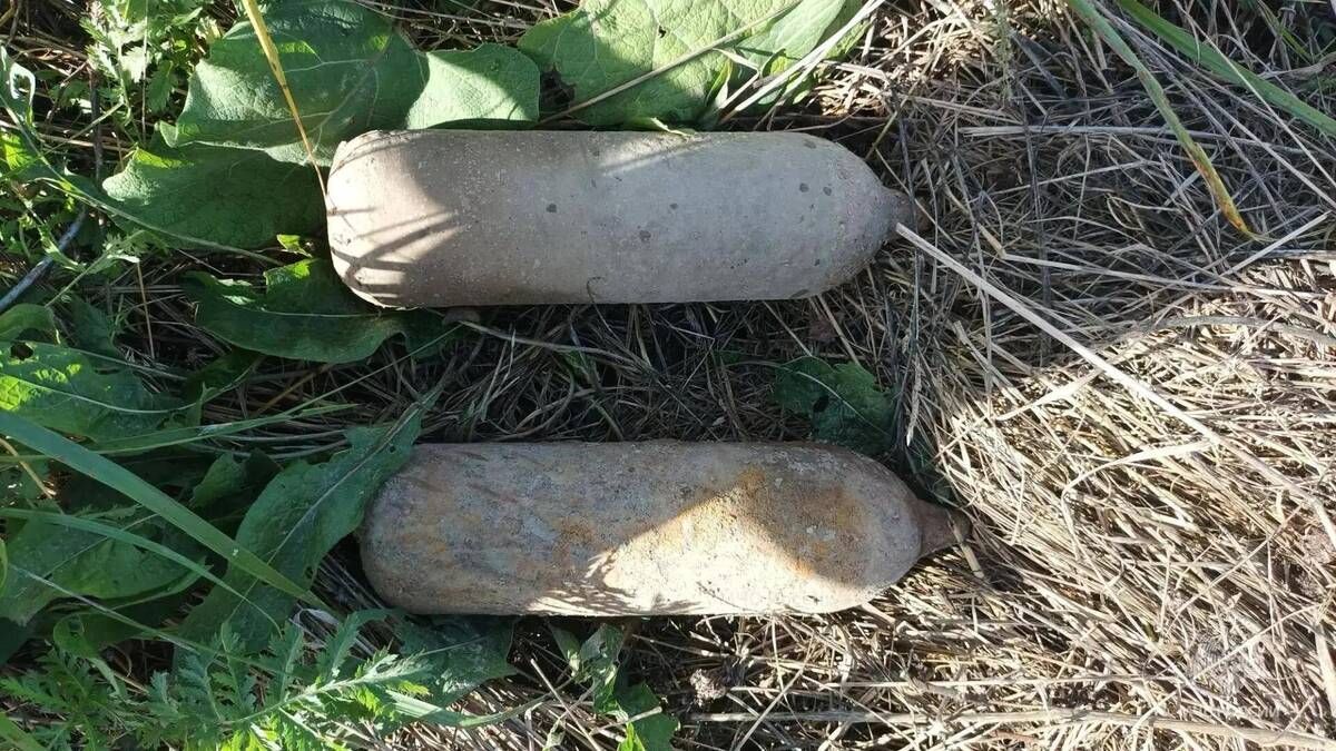 В Дубровском районе нашли и обезвредили две бомбы