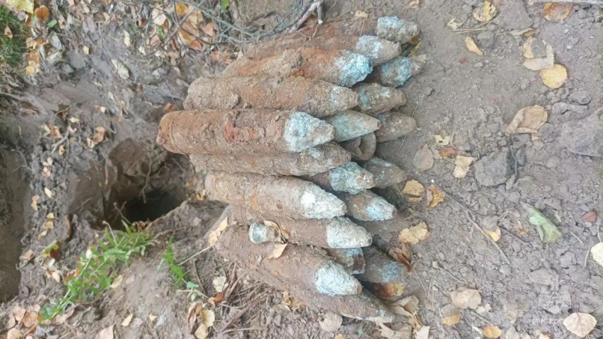В Брянской области специалисты обезвредили боеприпас, оставшийся со времён Великой Отечественной войны