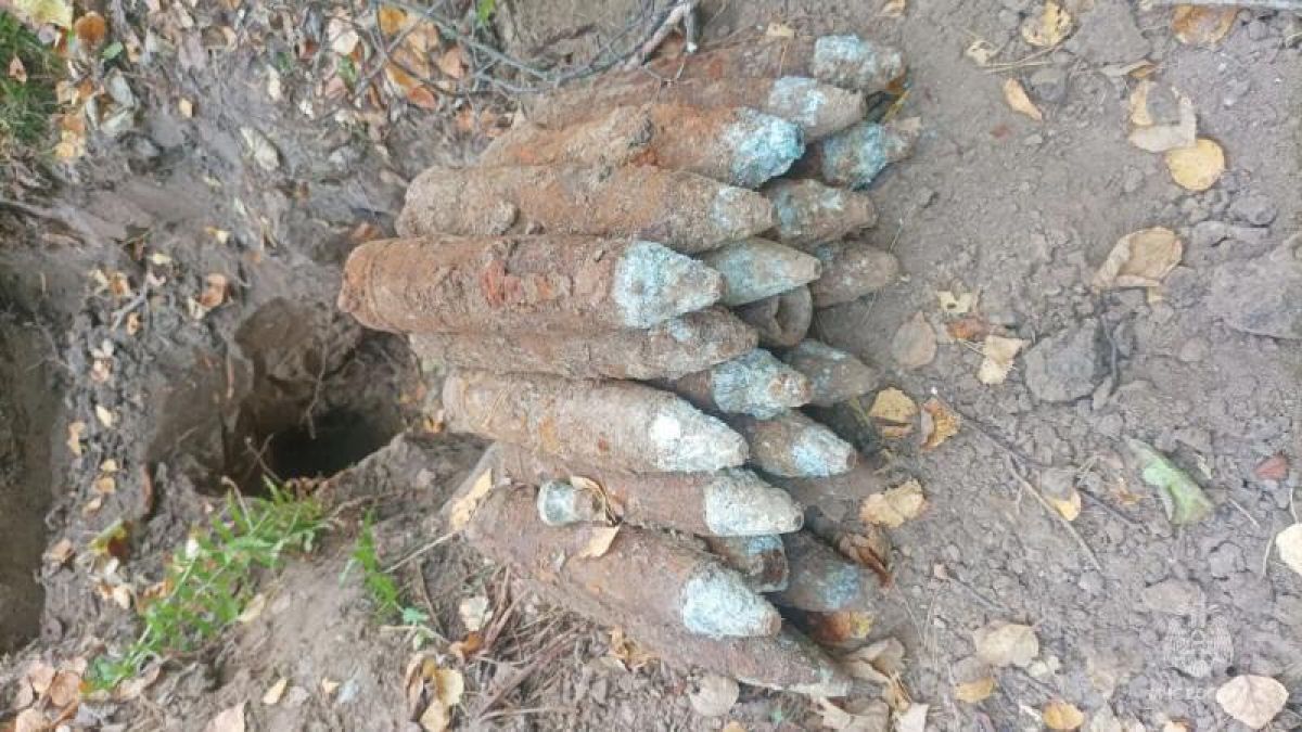 В Брянской области сапёры МЧС предотвратили взрывы